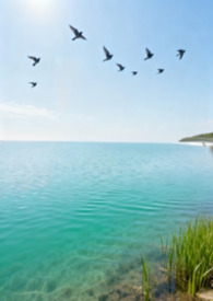 归去来兮（GB）